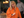Gift Vouchers - Guided Food Tours